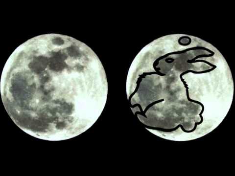 la lepre nella luna