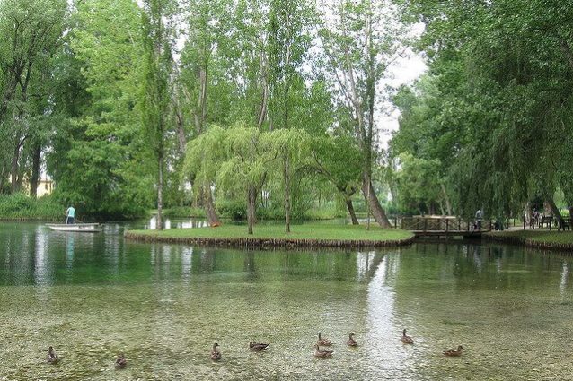 fonti